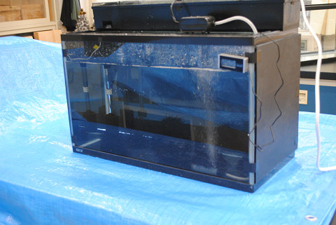 resize0960