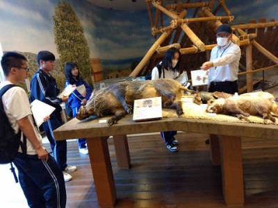 resize2640