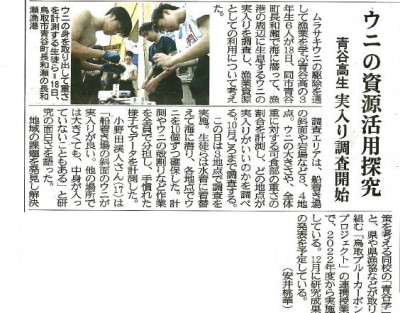 20240619 ウニの資源活用探究