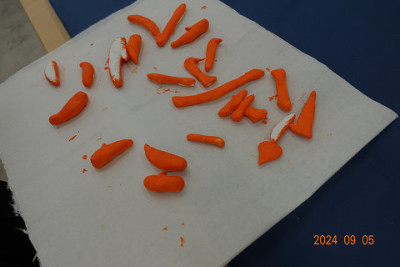 resize3794
