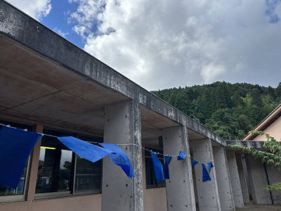 resize3991