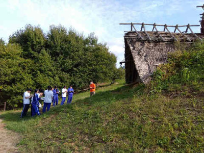 resize4016
