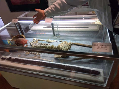 resize4061