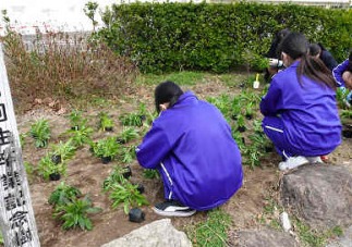 resize4428