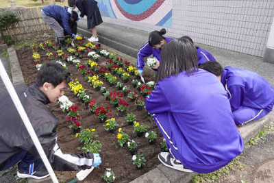 resize4431