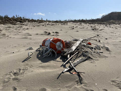 resize4531