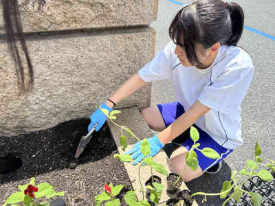 resize4991