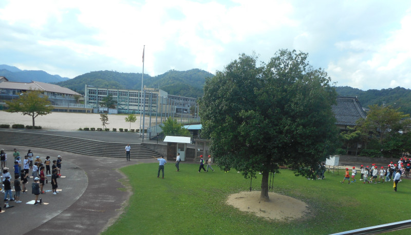 DSCN5196