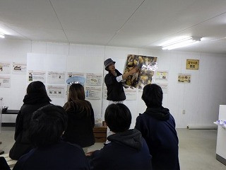 はちみつ画像1