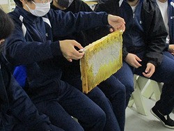はちみつ画像2