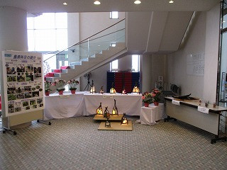 IMG_0965