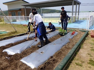 こども園２