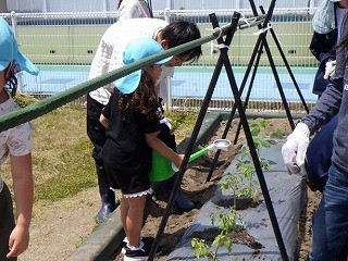 こども園４