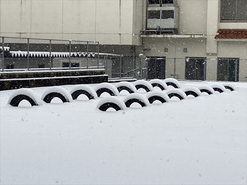 2月21日雪 (2)_R