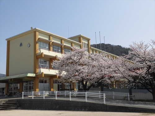 R4　桜と校舎_R