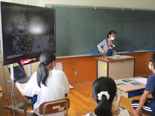 6年写真発表 (1)_R