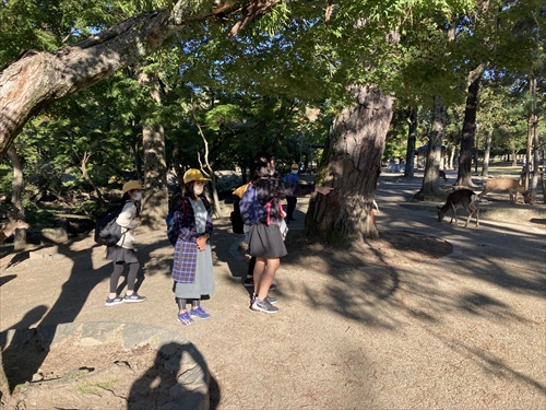 修学旅行 (27)_R