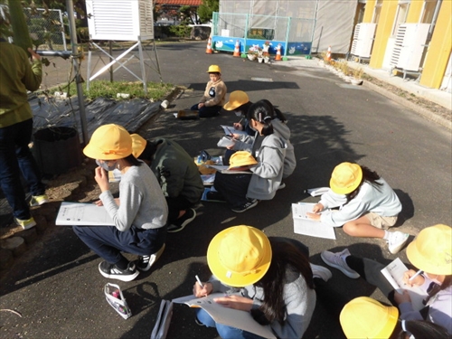 4年ヘチマ観察 (4)_R