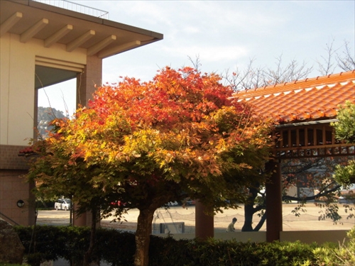 11月10日 (3)_R