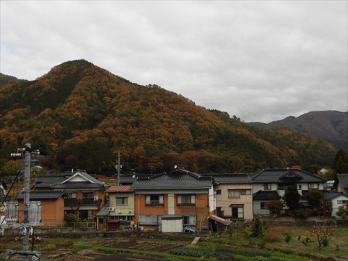 11月14日色づく山 (1)_R