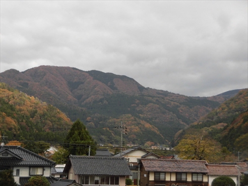 11月14日色づく山 (2)_R