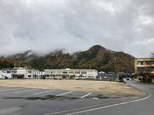 11月24日イチョウ (3)_R