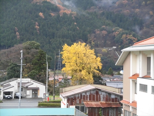 12月1日初冬 (2)_R