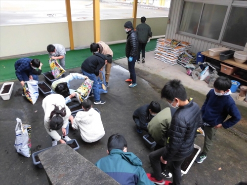 5年チューリップ (3)_R