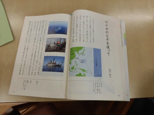 4年うなぎのなぞ (2)_R