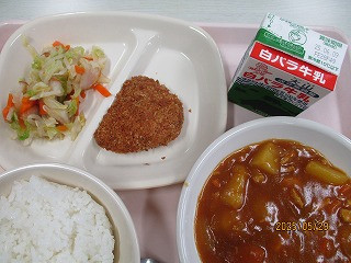 ５月２９日