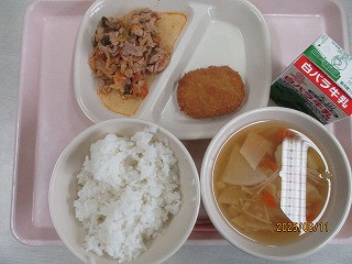 ６月１１日