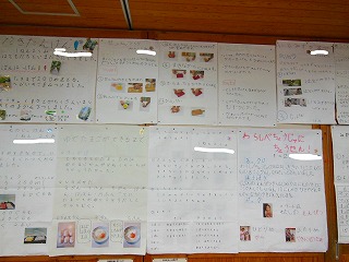 DSCN5784_LI