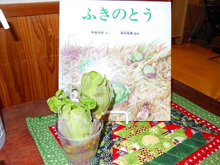 DSCN6582