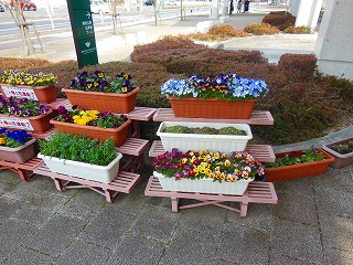 DSCN6702