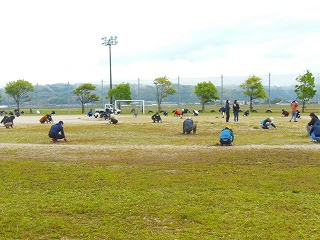 DSCN6953