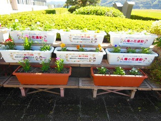 DSCN8490