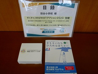 DSCF1906