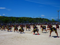 DSC00800