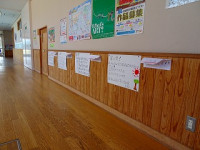 DSC01194