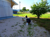 DSC01567