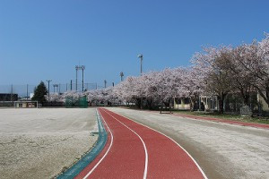 グランド-300x200