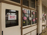IMG_7257