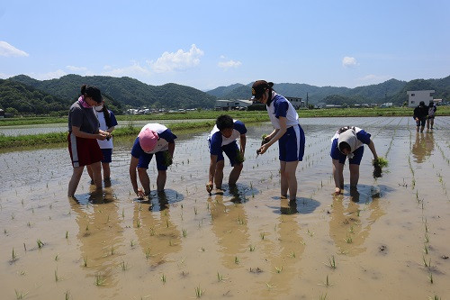 taue_2024-01