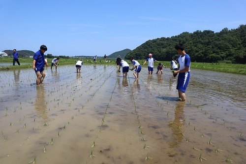 taue_2024-06