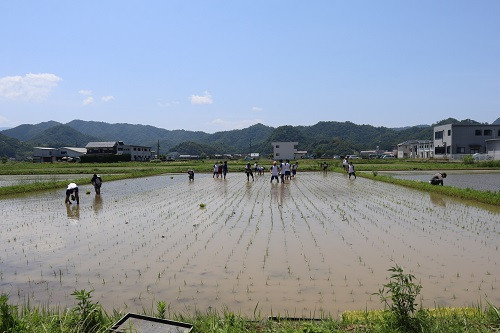 taue_2024-04