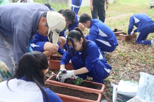 stationplant-04