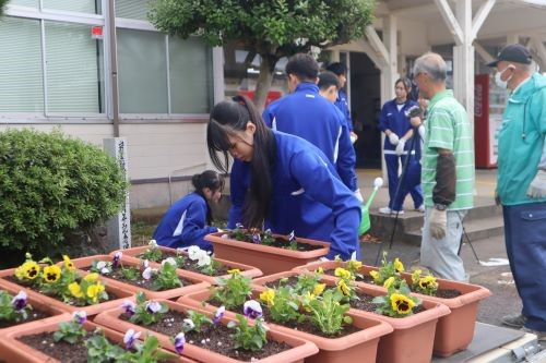 stationplant-05