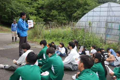 minamip25-01