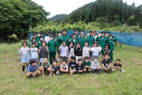 minamip25-05