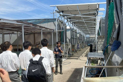fwws-tb-01